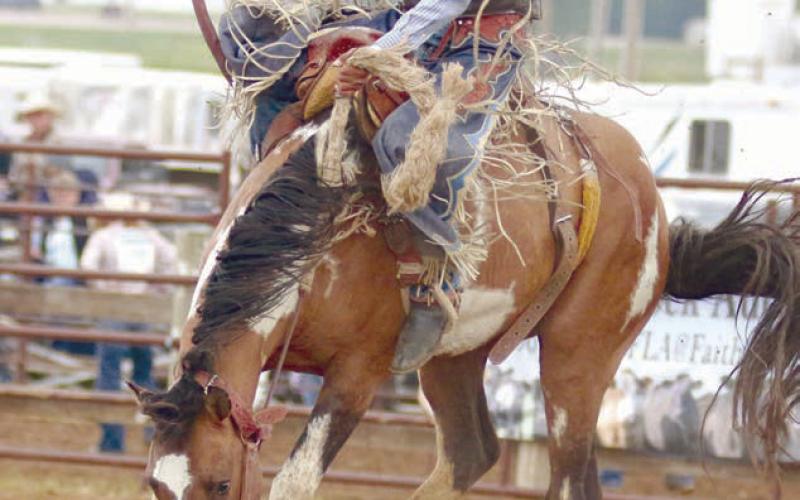 Mark Sandquist of Trail City rides a bronc in this Topic file photo from 2023. Sandquist won the saddle bronc event at the River Region HS rodeo in Kadoka last weekend and will be heading to the State High School Finals Rodeo later this month.