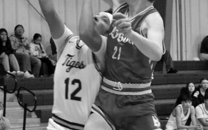 Dupree’s Jeremiah Tiger (12) draws a foul from Bison player Kort Ryan while driving for a lay-up during a meeting between the Tigers and Cardinals last week. Photo by Patty Peacock