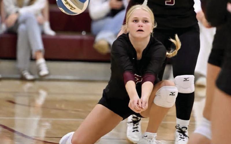 Senior Sara Keller, left, goes up for a spike attempt during Timber Lake’s matchup with McLaughlin last Tuesday, Sept. 23, in Timber Lake. Above, senior Hailey Roggow goes for a bump during the action. The Lady Panthers swept the Mustangs in three games to snap a 10-match losing streak.