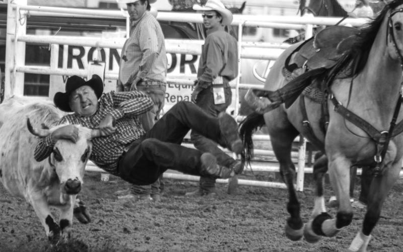 Bulldogger Casey Olson, Prairie City, has one by the horns during the steer wrestling at the Faith Stock Show and Rodeo. Photos by Jon Flatland