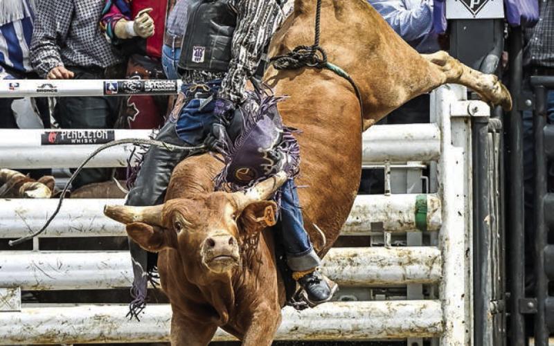 Wynn Lawrence of Whitehorse, one of the premier young bull riders in the region, won the SD 4-H State Bull Riding title in Ft. Pierre last weekend. Photo by Plooster Photography