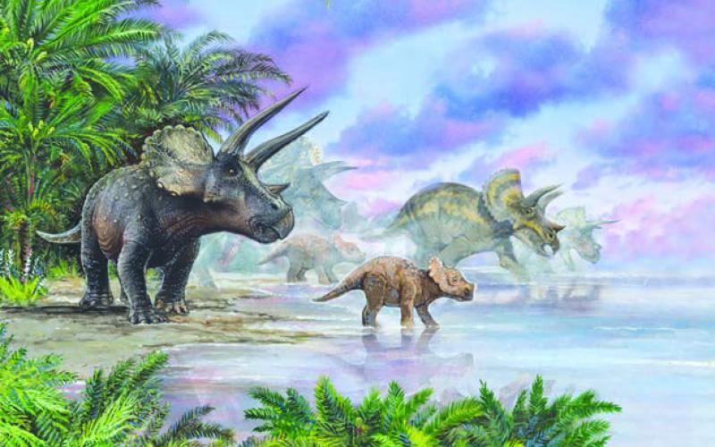 Dennis Linn of Rapid City painted this piece of Triceratops in their habitat for the Sea of Grass time line at the Timber Lake Museum.
