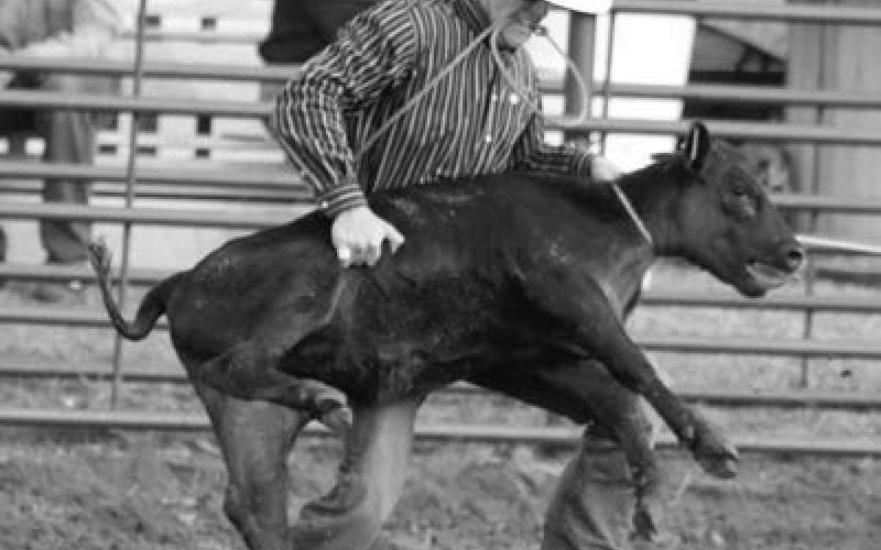 Collin Palmer of Bison competes in steer wrestling at the Isabel Rodeo. Photo by Jon Flatland