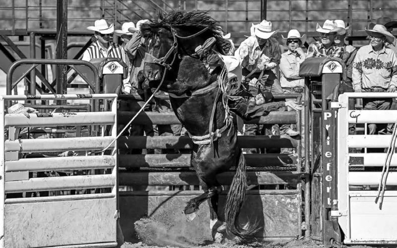 Photos by Chuck Miner