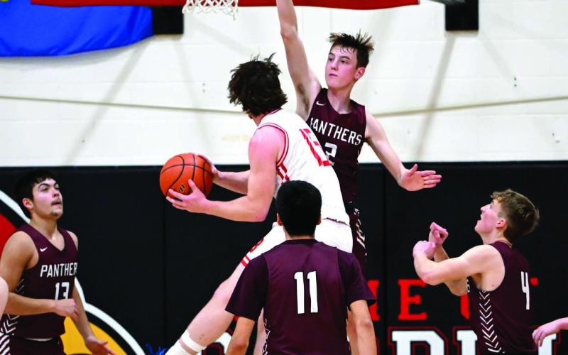 Timber Lake’s Kyler Bollinger (2) uses his 6-2 frame and long reach to defend the basket during recent action against Bison. Looking on and positioning for the blocked shot or rebound are the senior guard’s teammates Aidan Rough Surface (13), Tristan Dupris (11) and Gracen Hansen (4). Bollinger scored 13 points and grabbed a half-dozen rebounds in a 74-34 win over the Cardinals. Photo by Marie DuPreez