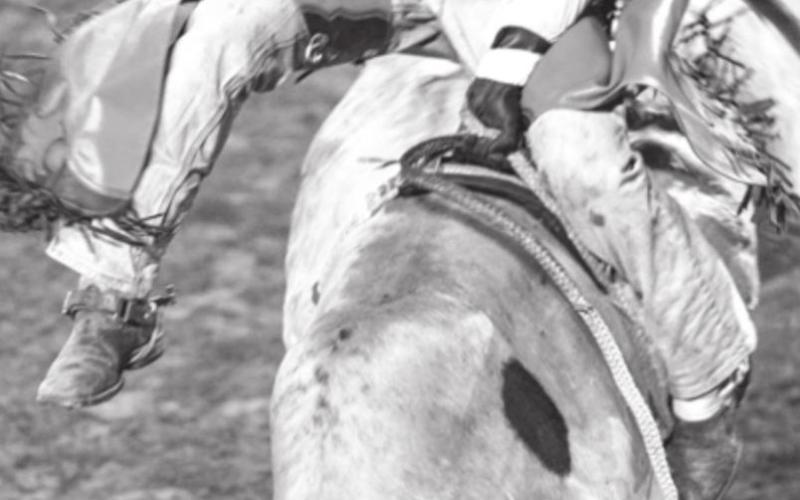 Slater Ducheneaux, Timber Lake, had his hands full with a tough bull at the Isabel rodeo.