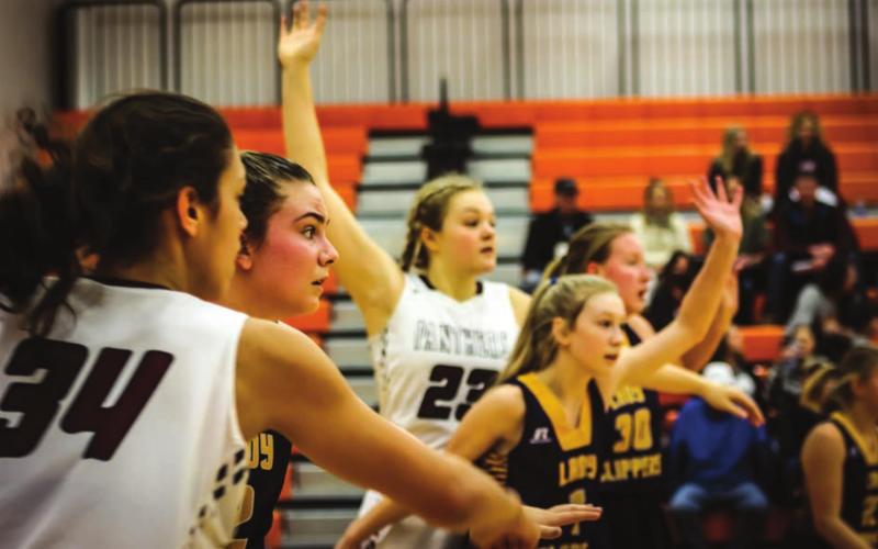 Jasmine Nash (34) and Stormi Hulm (23) play defense against the Strasburg-Zeeland Clippers at Mobridge on Saturday during the Panthers’ 56-19 win.