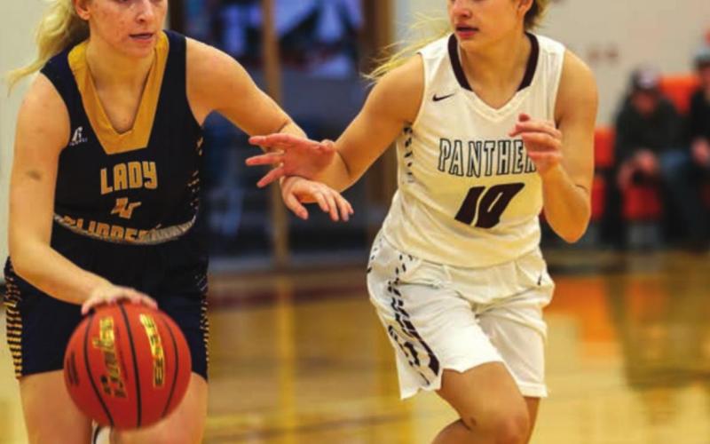 Timber Lake’s Shay Kraft plays defense as a Strasburg-Zeeland player attempts to advance the ball up the court.