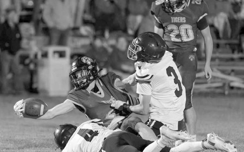 Dupree running back Cruz Birkeland (2) stretches for a first down while being tackled by Timber Lake’s Broc Bauer (4) and Holden Gill (3). Dupree’s Michael Donavon (20) looks on. Birkeland scored two rushing touchdowns in a 38-6 victory over the Panthers last Friday, Oct.17. Photo by Marie DuPreez