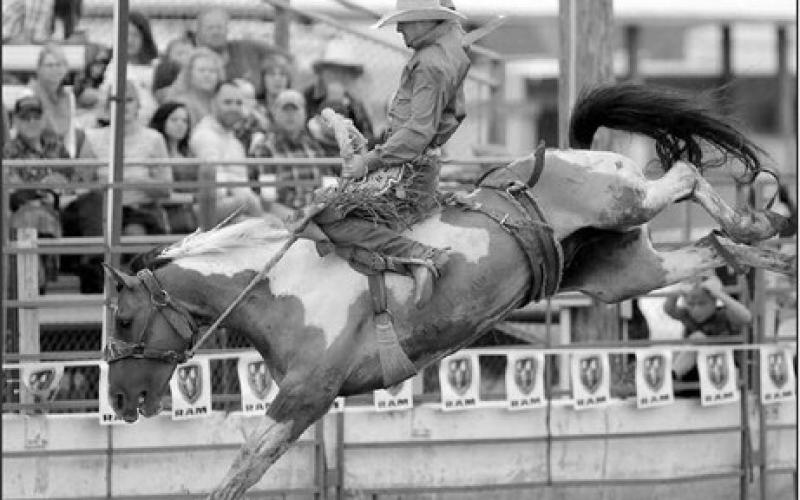 Faith cowboy Kash Deal holds down the top spot in the PRCA’s Badlands Circuit Saddle Bronc Riding standings heading into the Circuit Finals Rodeo this weekend in Minot, ND. Right behind him in second place is close friend Cole Elshere, also of Faith. Topic File Photo