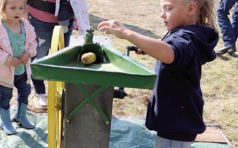Coal Springs Threshing Show