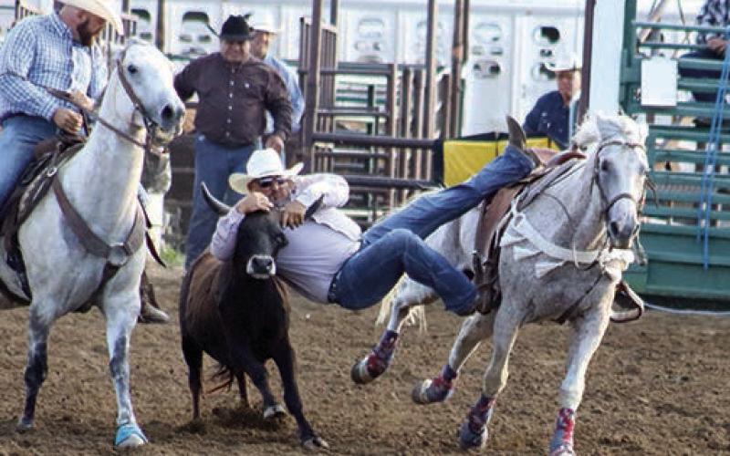 When he’s not working as one of the top pick-up men in the business, JJ Hunt of Ridgeview is competing in steer wrestling. Above, he takes his shot during the Isabel Rodeo. Hunt didn’t go winless over the weekend, however, as he snagged top honors in steer wrestling at the Oglala Lakota Nation INFR Rodeo in Pine Ridge with a 4.19 second run. Look for lots more photos from the Isabel Celebration and Rodeo on the Topic Facebook page. Photo by Jon Flatland