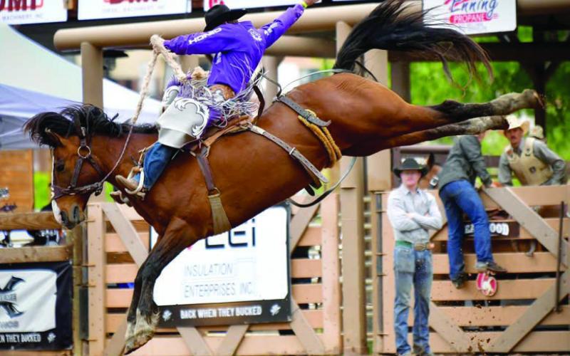 Saddle bronc rider Shorty Garrett of Dupree covered two of three broncs last week in Bracket C of the Calgary Stampede in Calgary, Alberta, Canada. Garrett placed fourth with an 84.3 on one ride and third with an 85 point effort on the other. All totalled, he left the Canada with $7,750 in winnings.  File photo courtesy of Chuck Miner