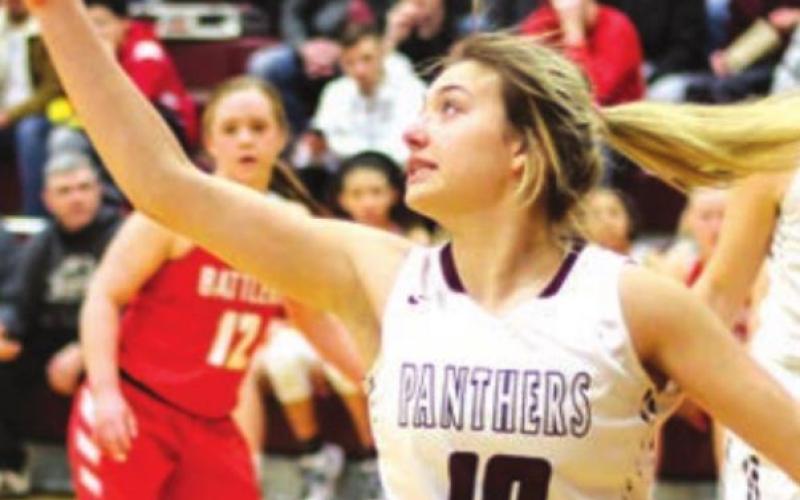 Shay Kraft led the Panthers with 18 points vs. Newell to end the regular season. File photo