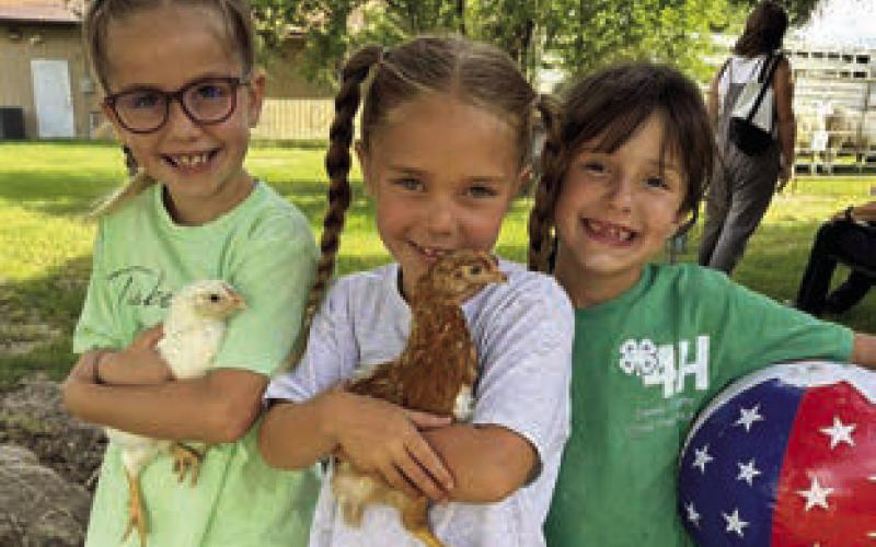 Another memorable Days of 1910 Celebration and Rodeo is in the books for Timber Lake. Left, Dupree bull rider Tyler Stambach was among those competing at the rodeo. Above, Elsie Maher, Charlie Long and Lochlin Goldade cuddled the chickens at the Dewey County 4-H Achievement Day. Below left, Rookie Maher cashed in at the Kid’s Coin Scramble. Below, Parade Grand Marshal Joann Schweitzer is chauffeured by Marty Biegler. See more inside! Photos by Chuck Miner, Jon Flatland and Dewey Co. 4-H