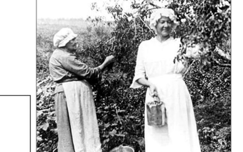 RIGHT: Belle Bramble and her mother harvesting fruit. The family was instrumental in establishing Trinity Lutheran Church in Mobridge.