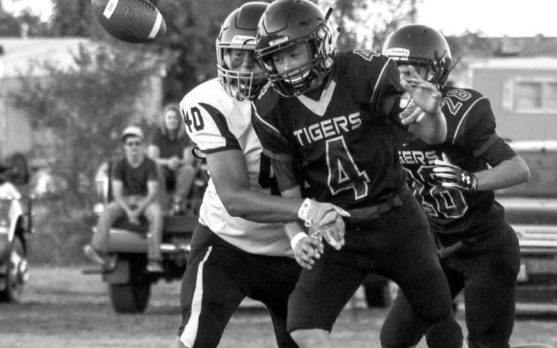 Panther junior defensive end Jaiden Ducheneaux (40) strips the ball from Dupree sophomore quarterback Treg Thorstenson (4) during their game in Dupree Friday night. Photo by Jon Flatland