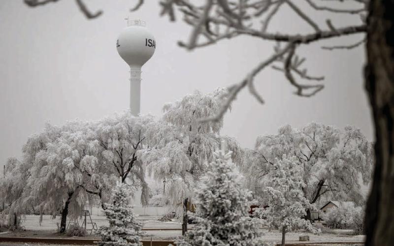 Dense fog and heavy frost that blanketed the region last week have carried over into this week, making for some picturesque scenery like this view through the trees of the Isabel water tower. Photo by Marie DuPreez