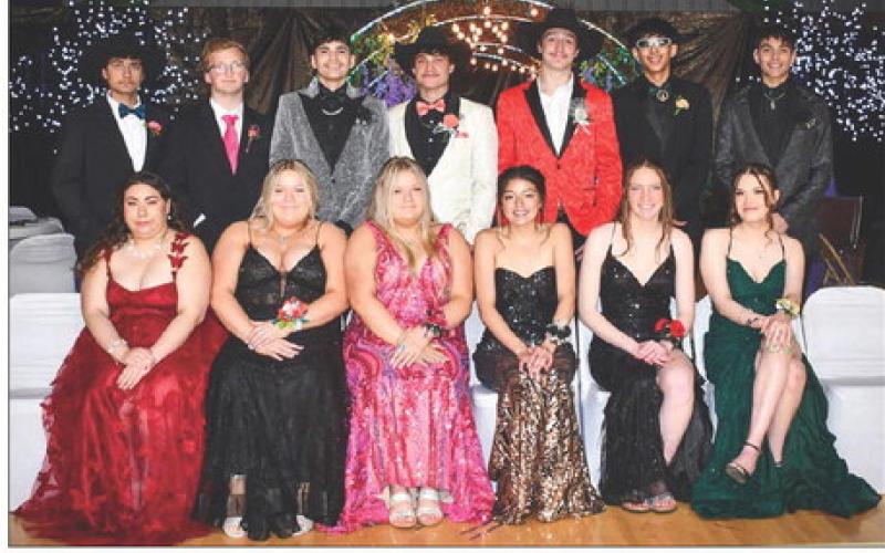 AT RIGHT: The members of the DHS Class of 2024 who attended prom. Front (L-R): Evalyn Ashley, Cassidy Farlee, Carsyn Farlee, Kamari Jensen, Taylee Jewett, and Yasmin Longbrake. Back (L-R): Alan Lemke, Case DePoy, Elijah Brewer, Bobby Brewer, Tyler Stambach, Shayden Marshall, and Kingslee Parker