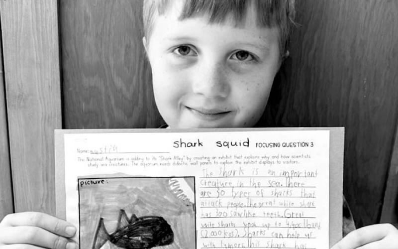 Austin Lindskov: “There are a lot of different animals in the ocean like sharks, squids, and whales.”