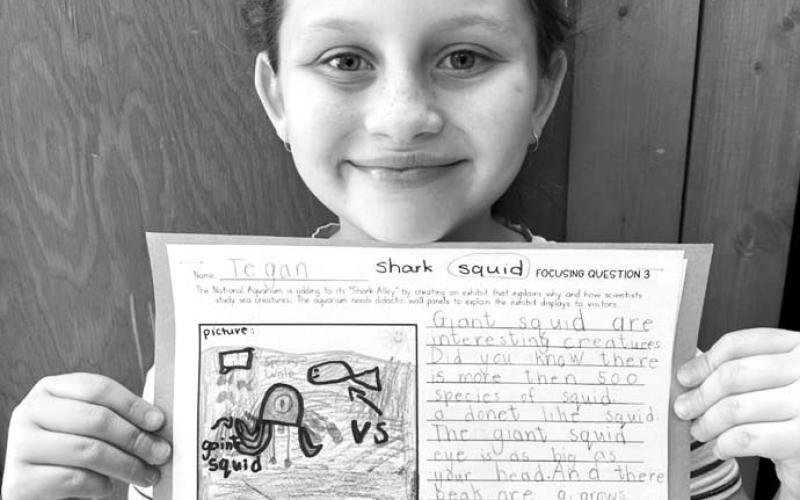 Tegan Baker: “I learned that giant squid are almost as long as our classroom.”