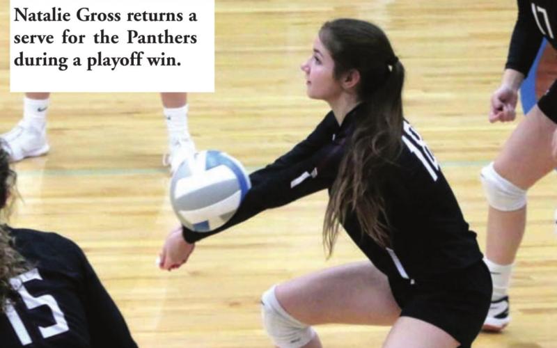 Lady Panthers ride 16 match win streak into SoDak 16