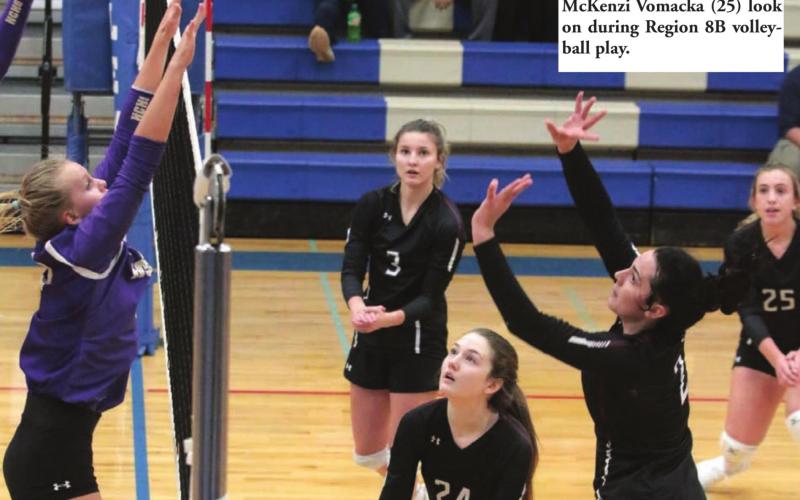 Lady Panthers ride 16 match win streak into SoDak 16