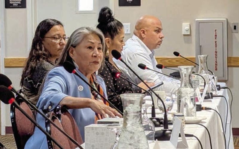 Outgoing Standing Rock Sioux Tribe Chair Janet Alkire. Photo by John Hult