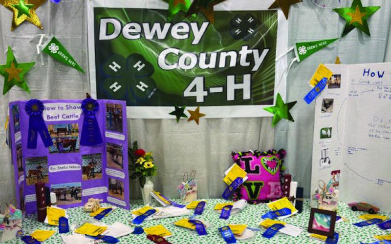 Dewey Co. 4-H members exhibit projects at the South Dakota State Fair