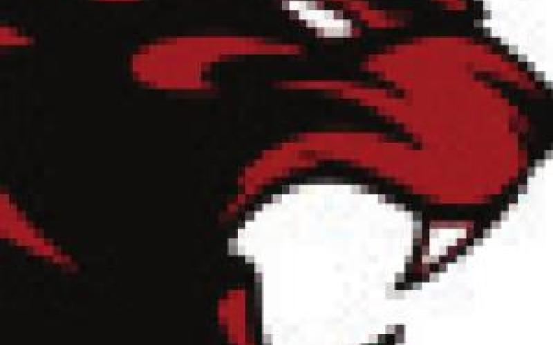 Bearcats bomb Panthers for State B berth