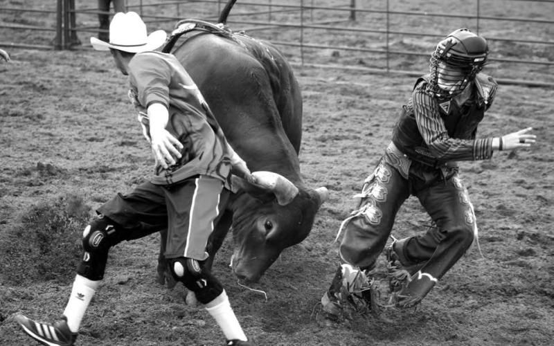 Bullfighter Darwyn Thompson draws the bull away from bull rider Wynn Lawrence of White Horse after Lawrence was bucked off. Lawrence will compete in bull riding and saddle bronc riding at the 75th annual South Dakota High School Finals Rodeo slated this weekend in Ft. Pierre. Photo by Jon Flatland