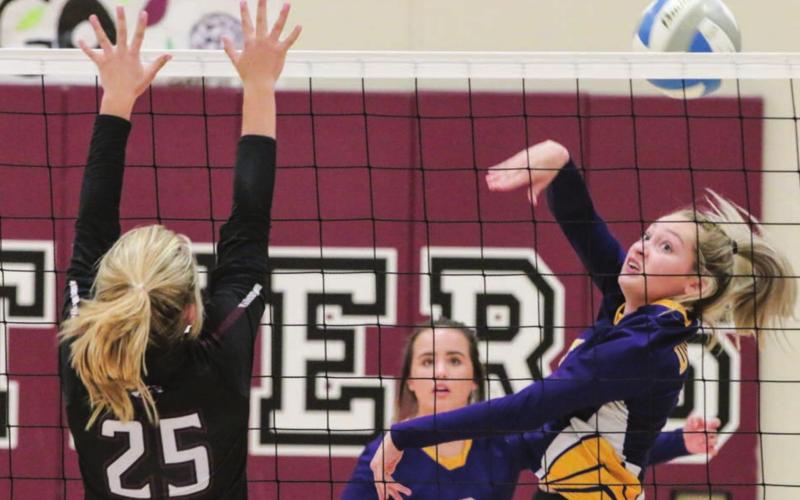 Dupree junior Kaya Cuny bats the ball as Timber Lake’s McKenzi Vomacka (25) plays defense during their LMC tournament match. Photos by Jon Flatland