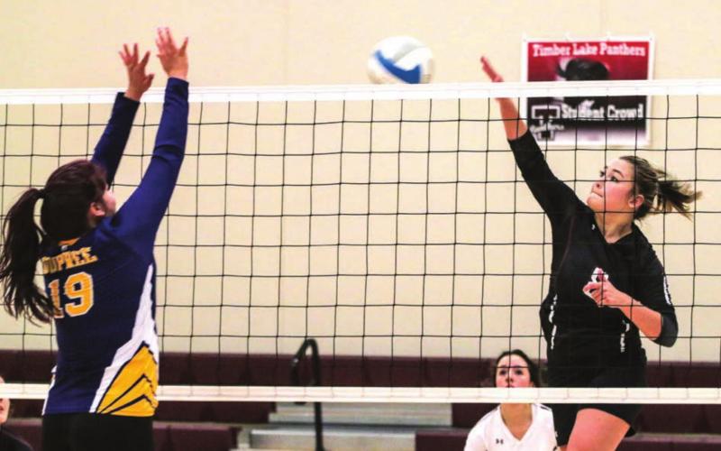 Timber Lake’s Kenna Webb spikes the ball while Dupree’s Chloe Dupree rises to block during their LMC match.