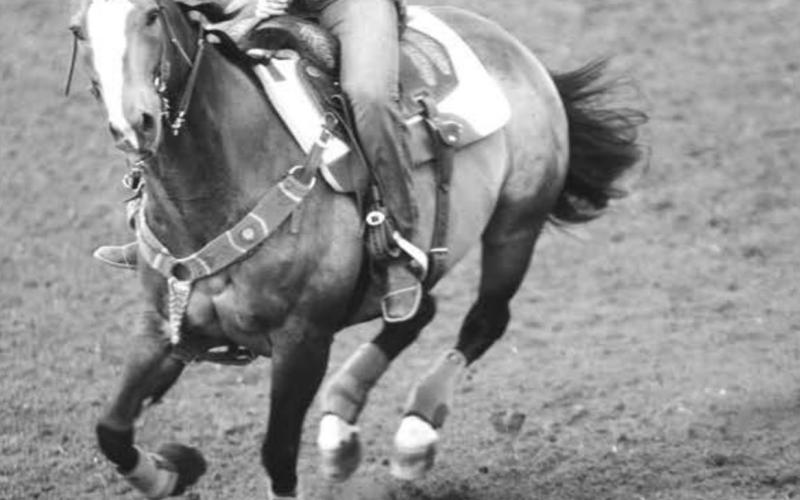 Laura O’Leary approaches the third barrel during her Saturday run at the Isabel Rodeo.