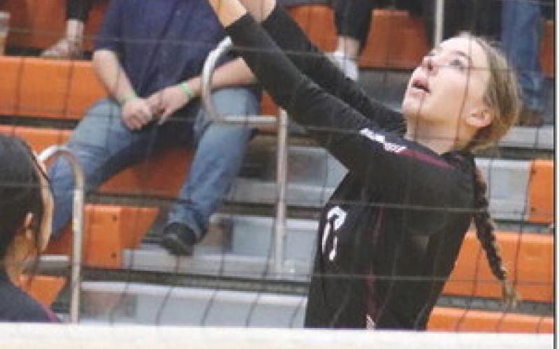 Junior Gailup Bollinger returns a shot during recent Timber Lake volleyball action. The Panthers host Tiospaye Topa on Oct. 15. Photo by Jon Flatland