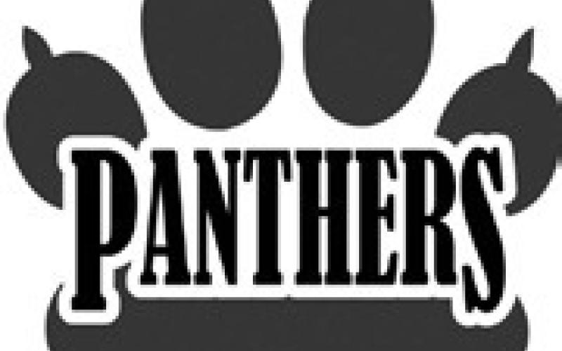 Good Panthers for March