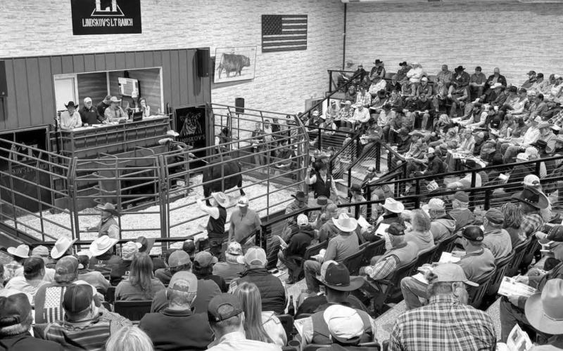 Packed House ...