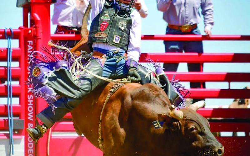 Timber Lake High School’s Wynn Lawrence of Whitehorse won the bull riding event at the Northwest Region Rodeo in Buffalo last weekend with this 71 point ride and qualified for the State High School Finals Rodeo June 17-21 in Ft. Pierre. Lawrence also won the opening round of saddle bronc riding and finished third overall. Photo by Chuck Miner