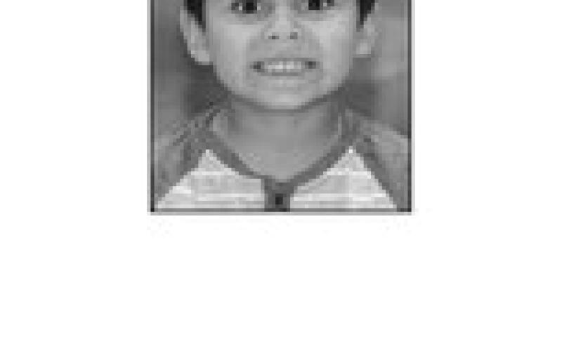 Wilson Wiedmer
