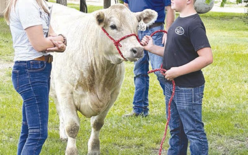 Dewey County 4-H youth show their projects