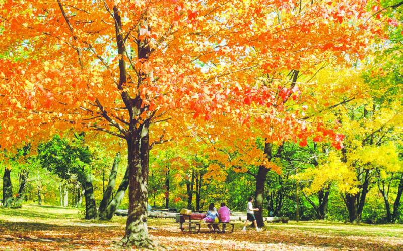 Photo by Jon Flatland Bright colors and falling leaves indicate that fall is in full swing. There is no prettier place this time of year than Little Moreau Recreation Area south of Timber Lake.
