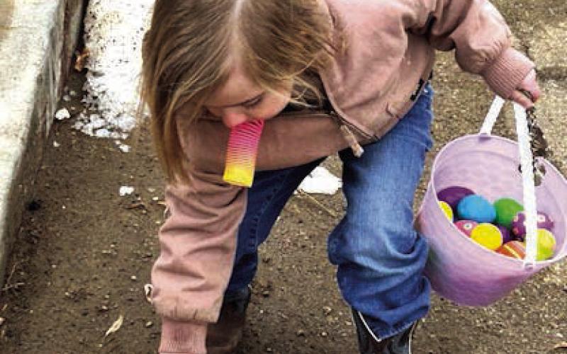Egg Hunters