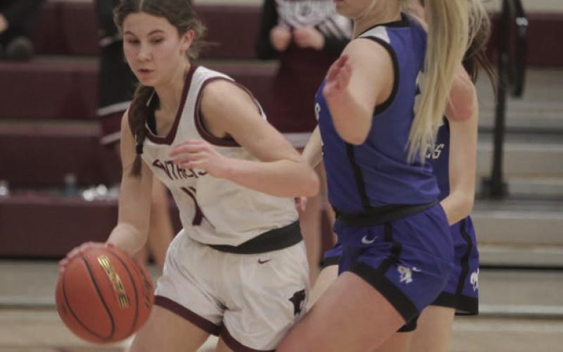 Timber Lake sophomore Natalie Lawrence dribbles past Lemmon defender Allie Kohn (right) during Region 8B tournament action last week. the Lady Panthers advanced to the SoDak 16 with a 66-53 win. Photos by Jon Flatland