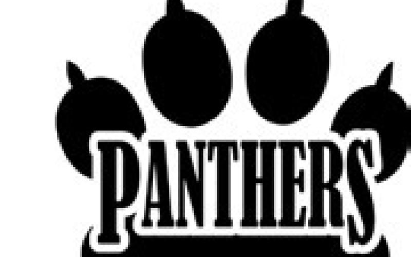 Good Panthers for February