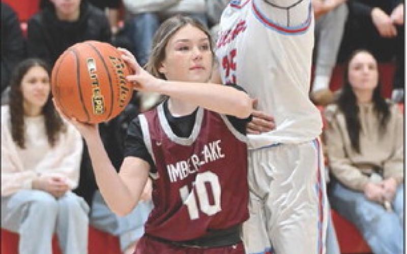 Timber Lake’s Korbi Heck looks to dish the ball along the baseline while being defended by C-EB’s Alisa Eberhard during girls basketball action last week. Both the Panthers and Braves are competing in their respective region tournaments this week. Photo by Marie DuPreez