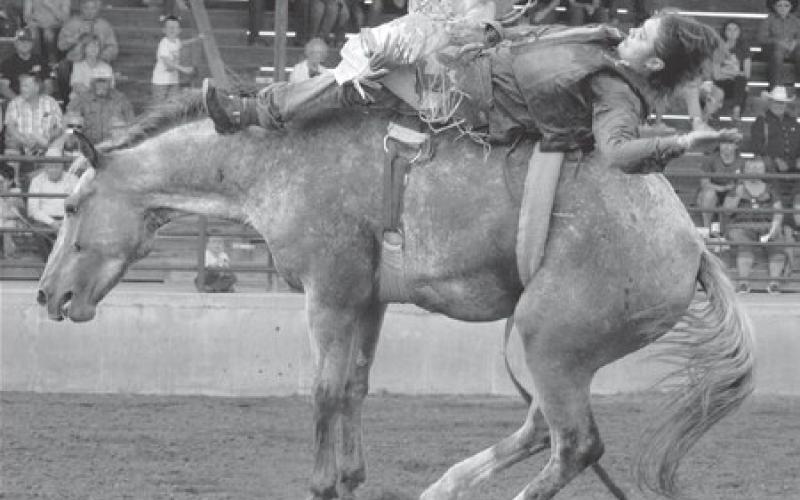 Knight wins Days of 1910 bareback bronc crown