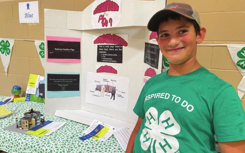 Levi Berndt created an educational display about pigs for one of his many 4-H projects.