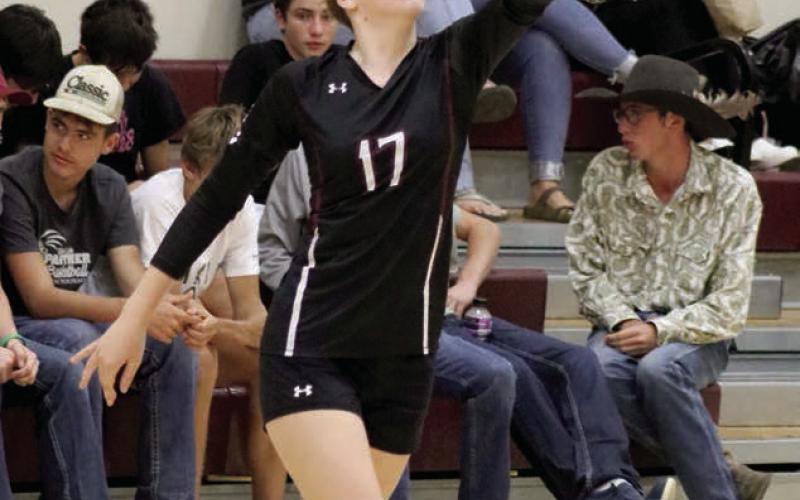 Timber Lake’s Geana Bollinger concentrates on her serve during volleyball action against Herreid-Selby last Thursday, Sept. 12. The Panthers played six matches over five days last week.