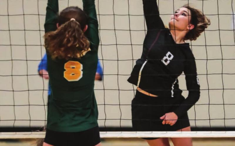 Kenna Webb (8) powers home a spike during the SoDak 16 match.