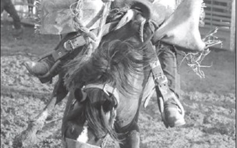 Focus on Rodeo